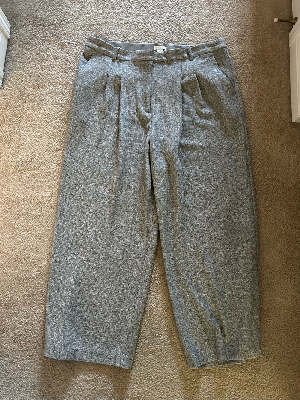 H&M Pleated Dress Pants